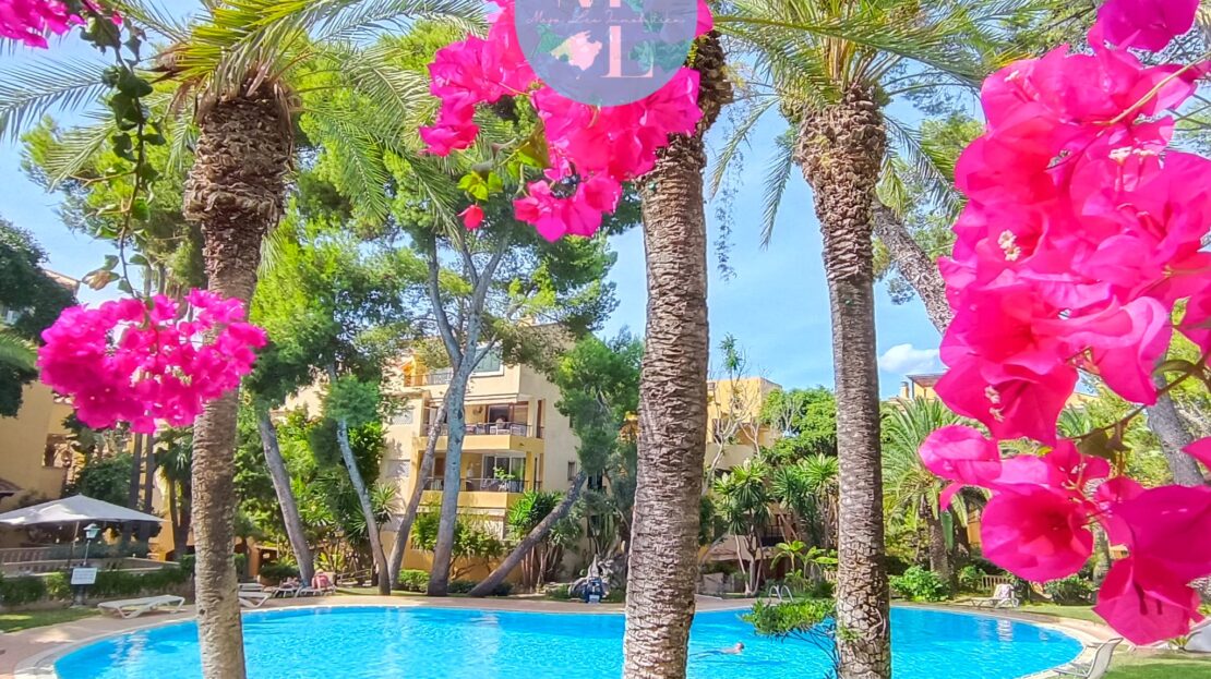 Schwimmbecken umgeben von Palmen und pinken Blumen in einer Gartenanlage.