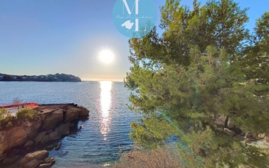 Traumhaftes Apartment in erster Meereslinie in Santa Ponsa