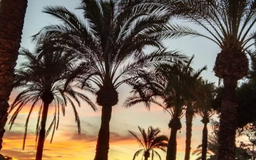 Secret Marketing – Exklusive Wohnung in erster Meereslinie in Santa Ponsa