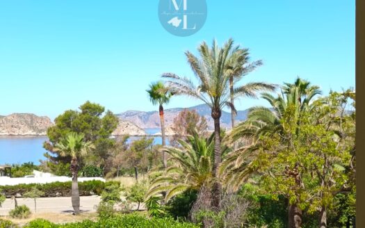 Grosszügige Wohnung mit Meerblick in Nova Santa Ponsa