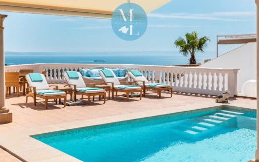 Villa mit spektakulären Meerblick über Portals Nous